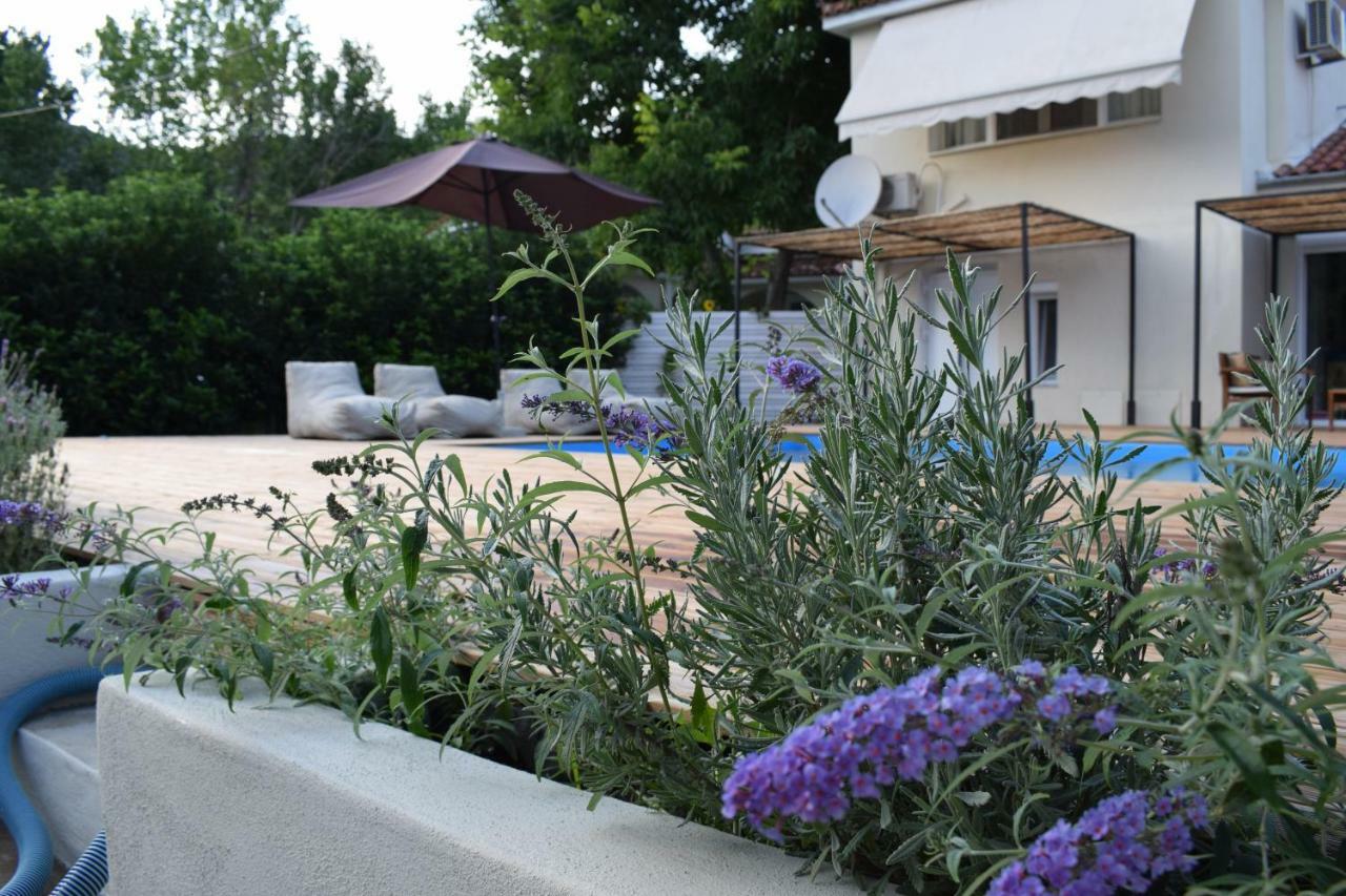 Serenity Luxury Villa, Skiathos Ajía Paraszkeví Kültér fotó
